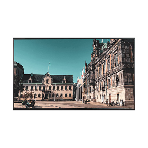 Промышленный дисплей ZKTeco ZK-LED55A 55", IPS 2K